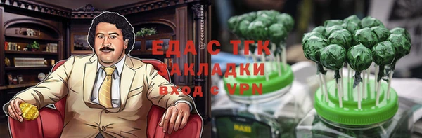 прущие грибы Ачинск