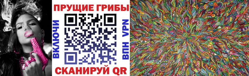 Псилоцибиновые грибы GOLDEN TEACHER Шали