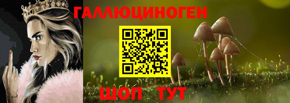Псилоцибиновые грибы Psilocybine cubensis Шали