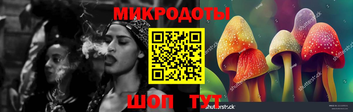 Галлюциногенные грибы мухоморы Шали